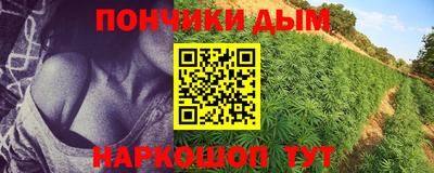 шишки Мариинск